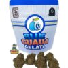 buy guava gelato backpackboyz online