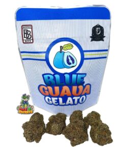 buy guava gelato backpackboyz online