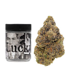 Buy Lucky Backpackboyz online
