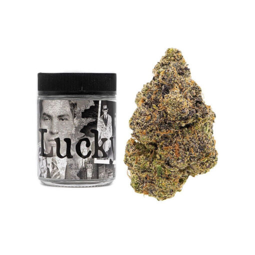 Buy Lucky Backpackboyz online