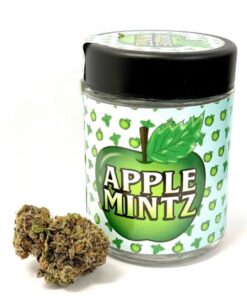 buy apple mintz backpackboyz online