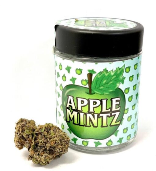 buy apple mintz backpackboyz online