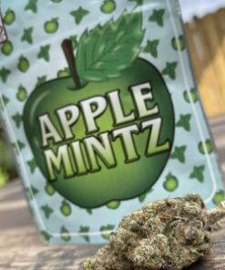buy apple mintz backpackboyz online