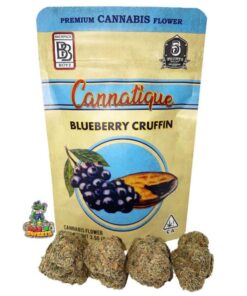 buy blueberry cruffin backpackboyz online