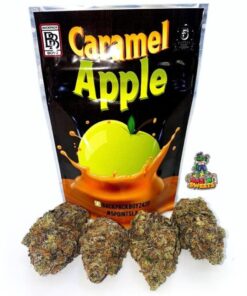 Buy Caramel Apple Backpackboyz Online