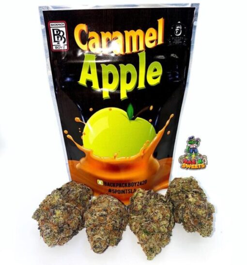 Buy Caramel Apple Backpackboyz Online