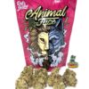 buy animal face strain online