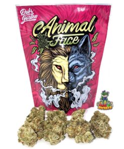 buy animal face strain online