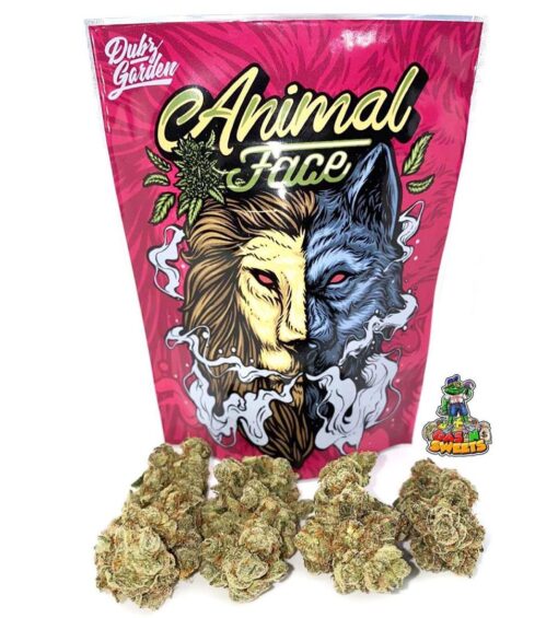 buy animal face strain online