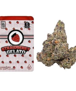 Buy Strawberry Gelato Backpackboyz Online