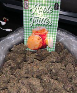 BUY APPLE FRITTER BACKPACKBOYZ ONLINE