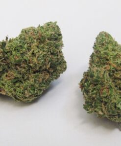 buy uk cheese strain online