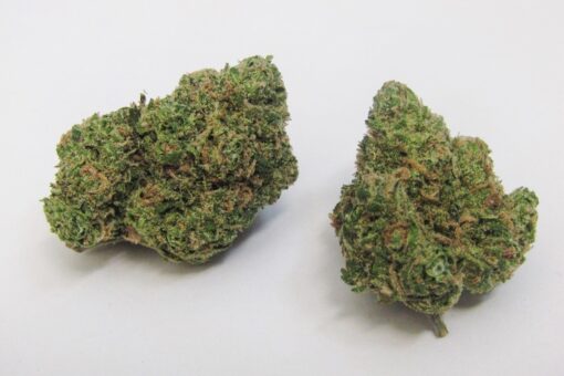 buy uk cheese strain online